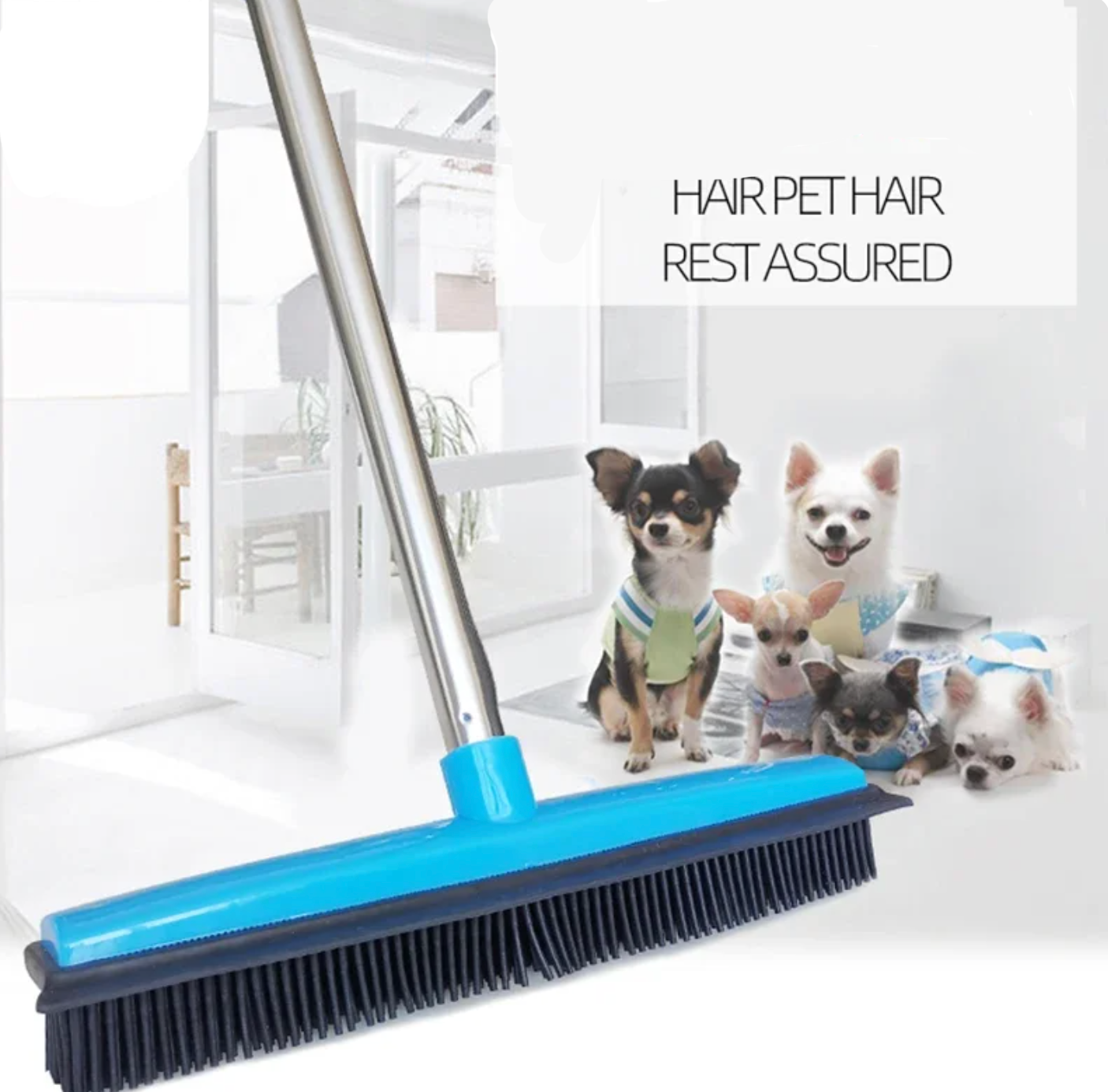 LuluPets Hair Removal Broom