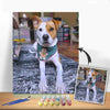 Custom Photo Paint by Number Kit